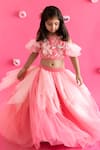 Buy_Ruchika Lath Label_Pink Crepe, Tulle Sequins, Embroidery Hummingbird Bloom Lehenga With Blouse _Online_at_Aza_Fashions