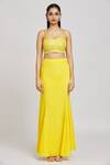 Nitisha Kashyap Official_Yellow Silk, Crepe Sequins, Mirrors, Beads Resham And Embroidered Cape Skirt Set _Online_at_Aza_Fashions