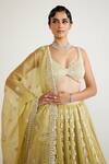 Buy_Vvani By Vani Vats_Green Georgette, Organza Pearls, Beads Chandelier Drop Bridal Lehenga Set _Online_at_Aza_Fashions