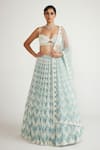 Buy_Vvani By Vani Vats_Blue Georgette, Net Chandelier Tassel Embellished Bridal Lehenga Set _at_Aza_Fashions