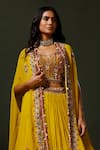Two Sisters By Gyans_Yellow Georgette Embroidery Nimbu Mirchi Embellished Lehenga Set _Online_at_Aza_Fashions