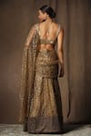 Shop_tara thakur_Brown Butterfly Net Embroidered Thread Sweetheart Blouse And Pre-draped Saree Set _at_Aza_Fashions