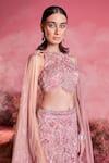 Shop_PARUL GANDHI_Pink Mesh Embroidery Halter Neck Noor 3d Petunia Bridal Lehenga Set _Online_at_Aza_Fashions