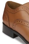 Shop_Hats Off Accessories_Brown Textured Oxford Shoes  _Online_at_Aza_Fashions