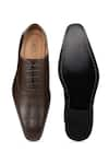 Shop_Hats Off Accessories_Brown Textured Perforated Oxford Shoes  _at_Aza_Fashions