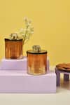 Buy Manor House Gold Glass, Iron Metal Tray With Lustre Jars Elephant Lid Set Of 3 at Aza Fashions Buy_Manor House_Gold Glass, Iron Metal Tray With Lustre Jars Elephant Lid Set Of 3_at_Aza_Fashions