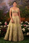 Moledro Green Organza Sequins, Beads Sweetheart Garden Embroidered Bridal Lehenga Set at Aza Fashions Moledro_Green Organza Sequins, Beads Sweetheart Garden Embroidered Bridal Lehenga Set _at_Aza_Fashions