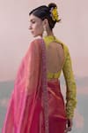 Buy_Taisha_Multi Color Saree Pure Tissue Silk Embroidered Border With Blouse _Online_at_Aza_Fashions