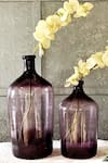 Buy_The Modern Storey_Maroon Glass Vase - Set Of 2 _at_Aza_Fashions