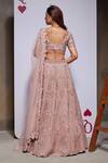 Shop_Divya Aggarwal_Pink Organza, Tulle Embroidery, Sequins, Esme Embellished Bridal Lehenga Set _at_Aza_Fashions