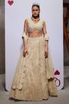 Buy_Divya Aggarwal_Ivory Organza, Muslin, Tulle Pearls Esther Embellished Bridal Lehenga Set _at_Aza_Fashions