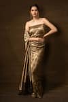 Pinki Sinha_Brown Pure Silk Handwoven Roar Banarasi Saree With Running Blouse _Online_at_Aza_Fashions