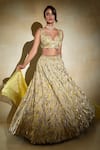 Buy_Megha Bansal_Green Silk Chanderi Embroidered Pearl Sona Ruhaani Sequin Foliage Lehenga Set _Online_at_Aza_Fashions