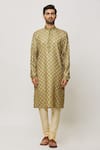 Samyukta Singhania_Green Silk, Polyester Persian Damask Art Print Kurta _Online_at_Aza_Fashions