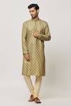 Buy_Samyukta Singhania_Green Silk, Polyester Persian Damask Art Print Kurta _Online_at_Aza_Fashions