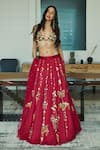 Buy_DILNAZ_Red Net Hand Embroidered Feather Butterfly Sequin Lehenga Skirt _at_Aza_Fashions