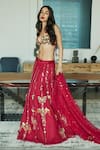 Shop_DILNAZ_Red Net Hand Embroidered Feather Butterfly Sequin Lehenga Skirt _Online_at_Aza_Fashions