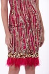 Buy_DILNAZ_Red Stretch Net Hand Embroidered Feather Deep Sequin Flapper Dress  _Online_at_Aza_Fashions