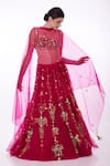 Buy_DILNAZ_Pink Net Embellished Sequin Applique Work Dupatta  _at_Aza_Fashions