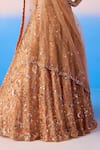 Mirroir_Peach Organza Silk Embellished Sequin Sweetheart Floral Jaal Bridal Lehenga Set _Online_at_Aza_Fashions