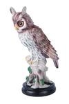 The White Ink Decor_Multi Color Poly Resin Fengshui Owl Figurine_Online_at_Aza_Fashions