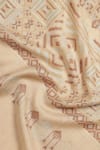 Shop_SHINGORA_Beige Geometric Printed And Chevron Woven Pattern Bordered Shawl _Online_at_Aza_Fashions