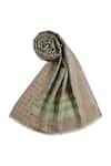 Buy Shingora Green Acanthus Motif Saffiya Woven Stole Online at Aza Fashions Buy_Shingora_Green Acanthus Motif Saffiya Woven Stole _Online_at_Aza_Fashions