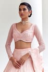 Buy_Mishru_Pink Lehenga And Dupatta Neri Ionic Blossom Embellished Bridal Set  