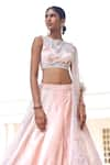 Mishru_Pink Lehenga And Blouse Velvet Embroidery Beads Malley Bridal Set  _Online_at_Aza_Fashions