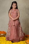 Buy_Vivedkids_Pink Glass Tissue Embroidery Floral Jacket Lehenga Set _at_Aza_Fashions