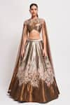 Buy_Aisha Rao_Gold Tissue And Tulle Embellished Floral Mirage Lehenga Cape Set  _at_Aza_Fashions