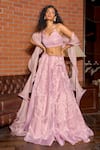 Buy_Astha Batra_Pink Organza Hand Embroidery Sequins Sweetheart Neck Flamingo Lehenga Set _at_Aza_Fashions