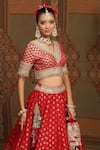 Shop_SHIKHAR SHARMA_Red Banarasi Paisley Woven V Neck Floral And Bridal Lehenga Set _Online_at_Aza_Fashions