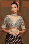Buy_SHIKHAR SHARMA_Brown Saree Embellished Gota V Neck Lace Border With Work Blouse _Online_at_Aza_Fashions