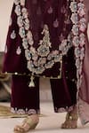 Shop_Inej_Maroon Organza Embroidered Floral Border Dupatta _Online_at_Aza_Fashions