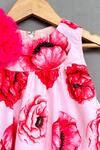 Label Neeti_Pink Muslin, Cotton Applique Poppy Print Flared Dress _Online_at_Aza_Fashions