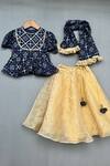 Buy_Label Neeti_Blue Cotton, Organza Embroidery Patola Print Blouse Lehenga Set _at_Aza_Fashions