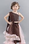 Pinkcow designs pvt ltd_Brown Net, Taffeta Ruffles, Lace Shimmery Lehenga Blouse Set _Online_at_Aza_Fashions