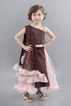 Buy_Pinkcow designs pvt ltd_Brown Net, Taffeta Ruffles, Lace Shimmery Lehenga Blouse Set _at_Aza_Fashions