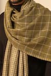 DUSALA_Green Woven Dhruv Cashmere Checkered Pattern Stole _Online_at_Aza_Fashions