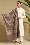 Shop_DUSALA_Grey Embroidered Kati Aari Cashmere Stole _at_Aza_Fashions