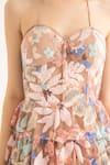 Shop_TORQADORN_Pink Net Embroidered Sequin Sweetheart Halter Neck Floral Layered Corset Dress _Online_at_Aza_Fashions