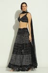 Buy_Vandana Sethi_Black Net Embroidery Chikankari Plunge V Neck Work Lehenga Blouse Set_Online_at_Aza_Fashions