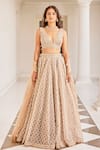 Buy_Cedar & Pine_Beige Organza Embroidery Trellis Plunging V Neck Lehenga Set  _at_Aza_Fashions