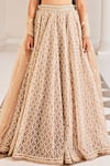 Cedar & Pine_Beige Organza Embroidery Trellis Plunging V Neck Lehenga Set  _Online_at_Aza_Fashions