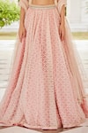 Cedar & Pine_Pink Organza Embroidery Trellis Round Neck Lace Lehenga Set _Online_at_Aza_Fashions
