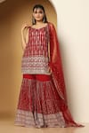 Meenagurnam_Maroon Georgette, Net Embroidery, Sequins, Zari Kurta Sharara Set _Online_at_Aza_Fashions
