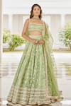 Buy_Cedar & Pine_Green Organza Embroidery Leaves Vine Square Neck Autumn Lehenga Set  _at_Aza_Fashions