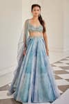 Buy_Cedar & Pine_Blue Organza Embroidery Sequin Sweetheart Neck Lehenga Set _at_Aza_Fashions