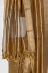Buy_Paaprika_Gold Tissue Handwoven Leaf Border Saree With Unstitched Blouse Piece _Online_at_Aza_Fashions